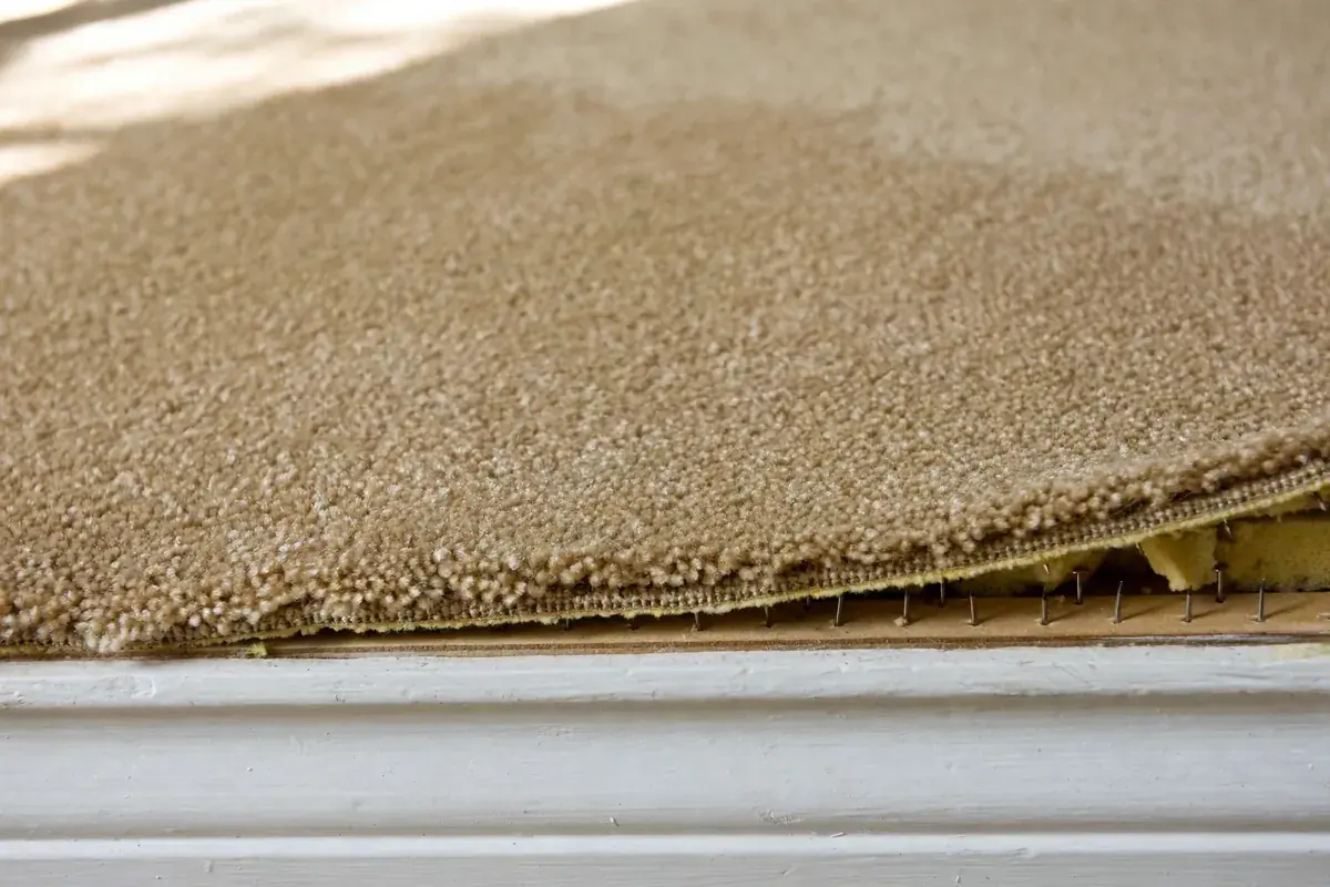 Tan carpet edge pulled tight on a tack strip beside a white baseboard